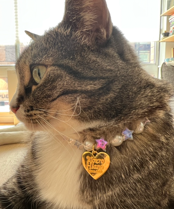 Rainbow Pearl Crystal beaded Pet Collar Handmade Luxurious Adjustable Necklace for Cats Small Dogs Iridescent Pearl cat collar dog collar